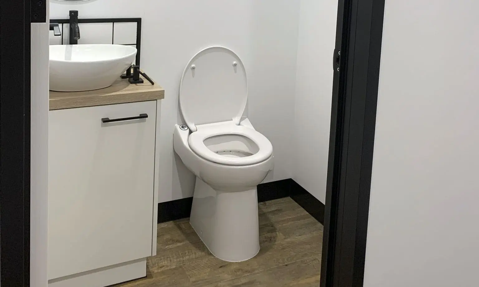 A normal flushing toilet beside the vanity in the bathroom of a finished MicroHome.
